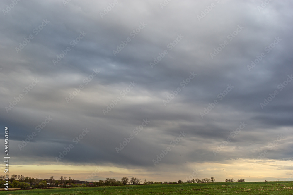 Beautiful spring landscape. Agricultural field with freshly cultivated soil. Trees in a plowed field. Rows of small green wheat. Sunny spring morning Beautiful spring landscape. Agricultural field with freshly cultivated soil. Trees in a plowed field. Rows of small green wheat. Sunny spring morning