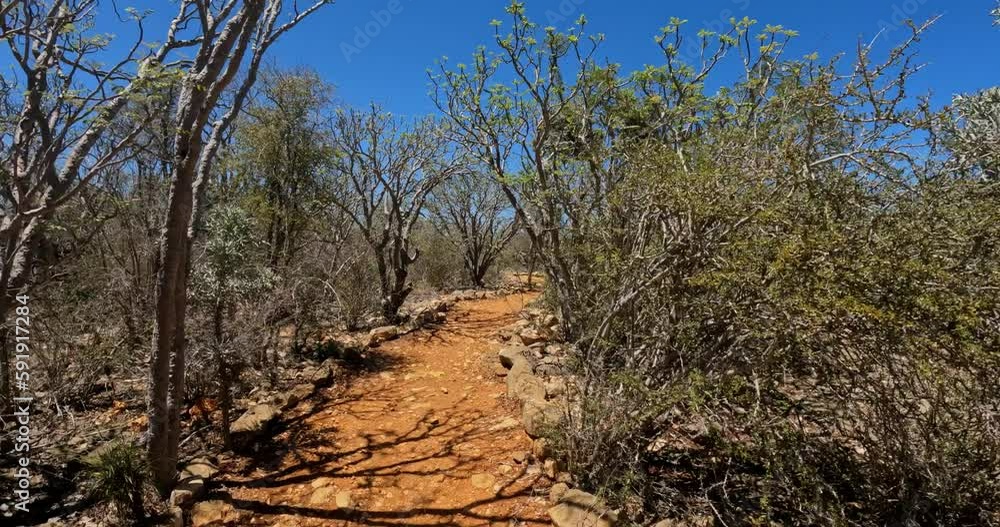 Tourist trail in Tsimanampetsotsa national park known as Tsimanampetsotsa Nature Reserve. South-west Madagascar wilderness landscape. Tourist trail in Tsimanampetsotsa national park known as Tsimanampetsotsa Nature Reserve. South-west Madagascar wilderness landscape.