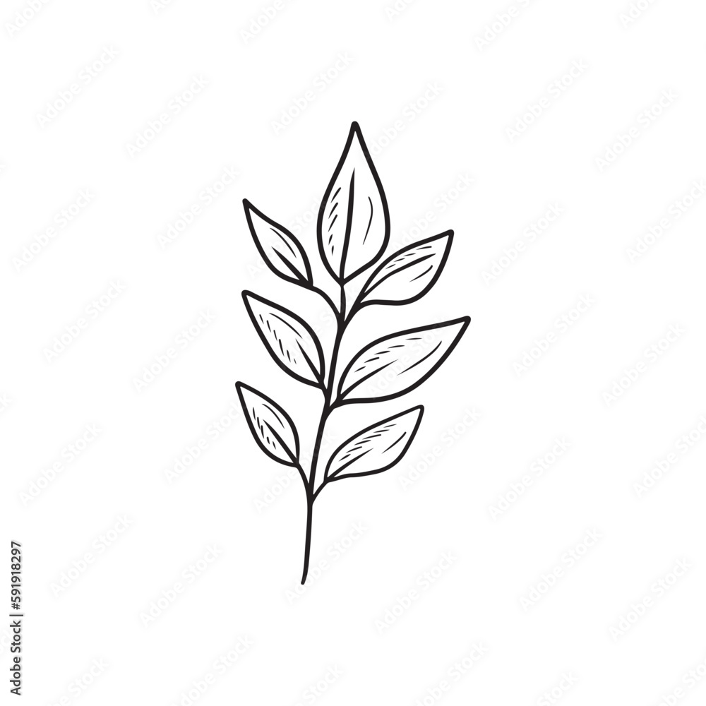 Reaslistic beautiful tropical branch with leaves inblack isolated on white background. HAnd drawn vector sketch illustration in vintage doodle engraved line art style. Botanical floral single drawing. Reaslistic beautiful tropical branch with leaves inblack isolated on white background. HAnd drawn vector sketch illustration in vintage doodle engraved line art style. Botanical floral single drawing.