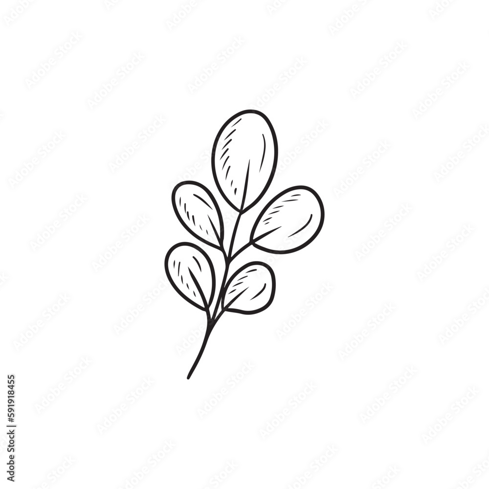 Realistic branch with eucaliptus tropical leaves in black isolated white background. Hand drawn vector sketch illustration in doodle engraved vintage outline line art style. Floral botanical drawing. Realistic branch with eucaliptus tropical leaves in black isolated white background. Hand drawn vector sketch illustration in doodle engraved vintage outline line art style. Floral botanical drawing.
