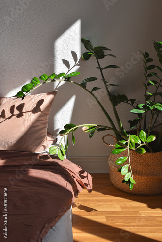 Shadow in my bed