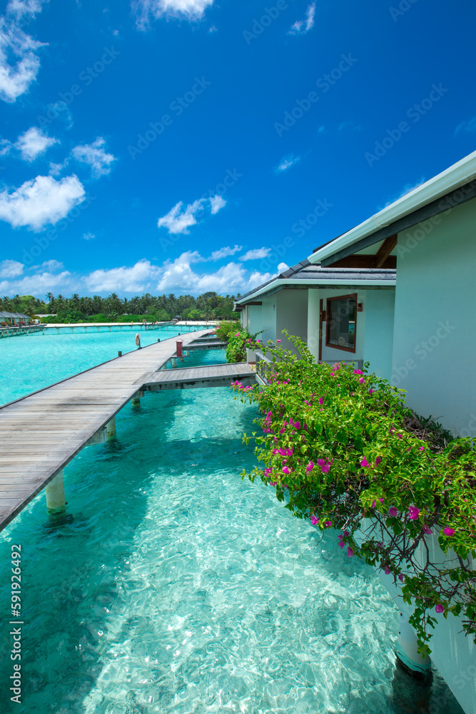 Fototapeta premium beach and tropical sea. beach landscape