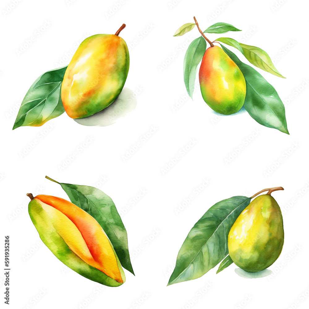 Watercolour mangos on white background, AI generated art. Watercolour mangos on white background, AI generated art.