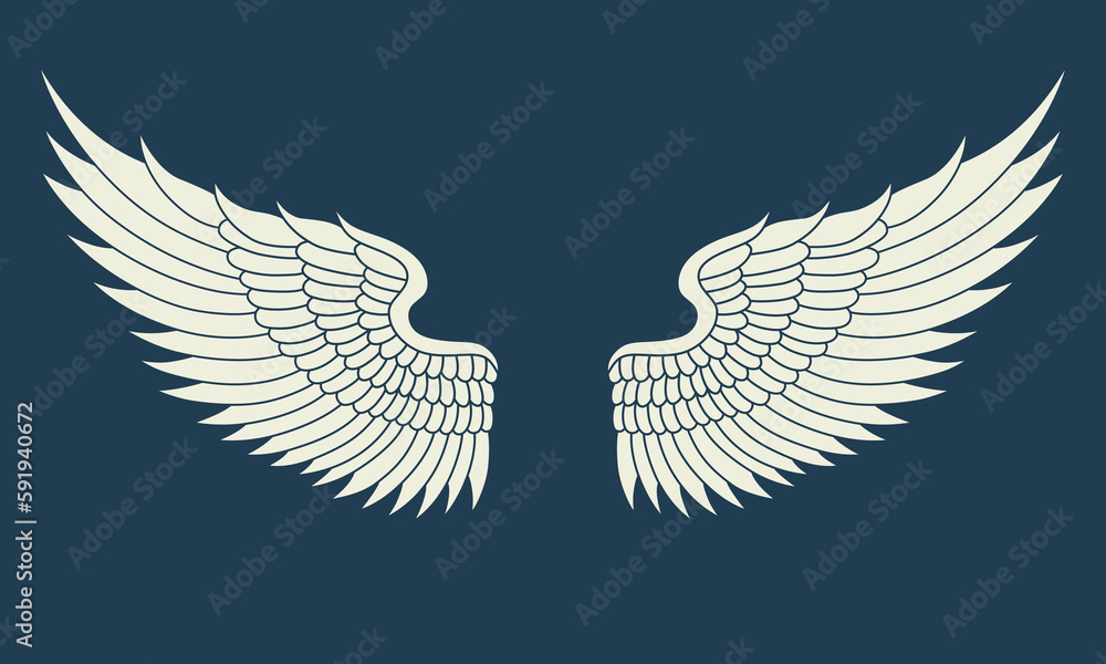 Obraz premium Vector white angel wings design