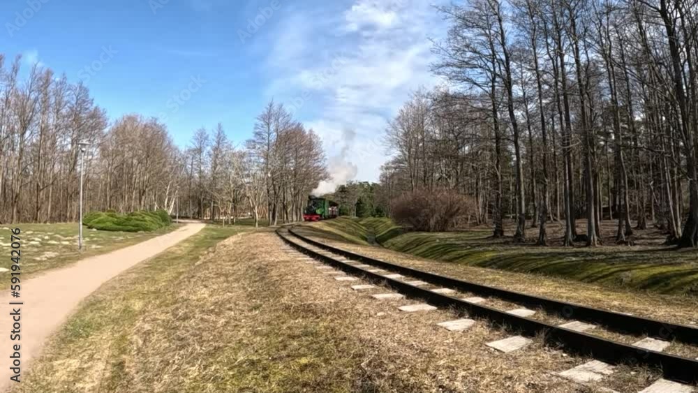 The passenger train railway with cars in the park,souhds of nature birds travel The passenger train railway with cars in the park,souhds of nature birds travel