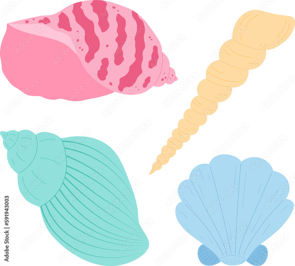 Set sea shell snail clam vector illustration Set sea shell snail clam vector illustration