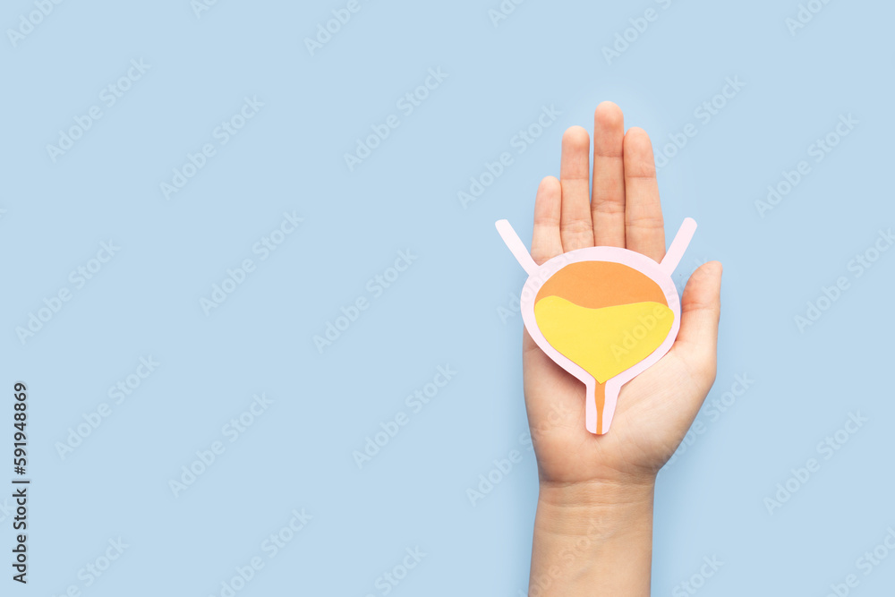 Woman hands holding bladder organ shape made from paper on light blue background. Awareness of bladder cancer, urinary tract infection, urinary incontinence and overactive bladder. - obrazy, fototapety, plakaty 