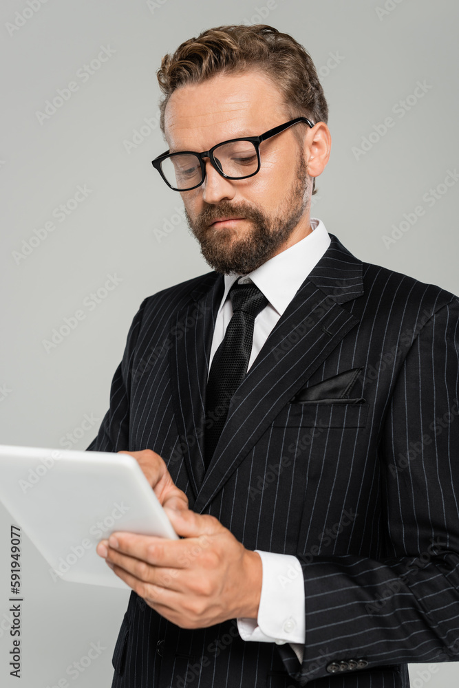businessman in formal wear and glasses using digital tablet isolated on grey. businessman in formal wear and glasses using digital tablet isolated on grey.