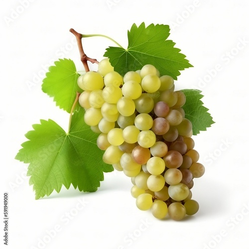 bunch of grapes