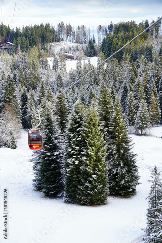 Cable Car, Winter, Trees