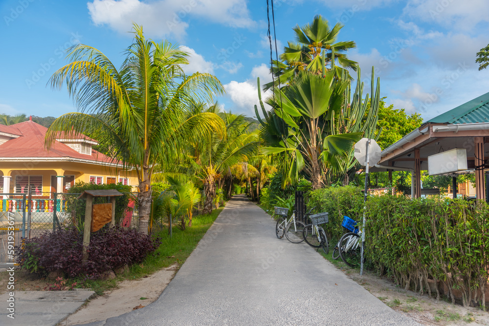 Narrow street in La Digue under a blue sky