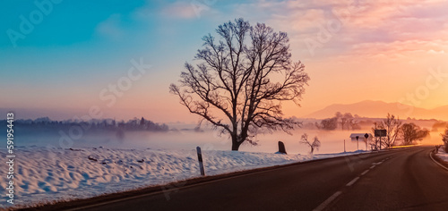 Foggy winter sunrise near Obersoechering, Weilheim-Schongau, Bavaria, Germany photo