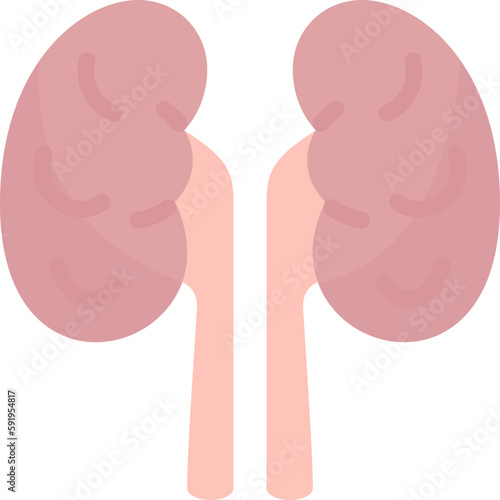 kidney  icon