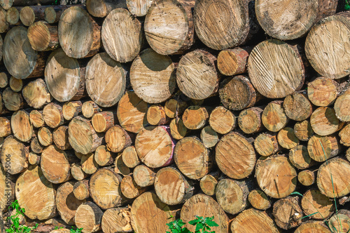 A woodpile with firewood for heating the house in cold weather. Heating the house in winter with firewood. View of sawn wood for the fireplace. Firewood that needs to be chopped with an axe.