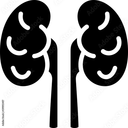 kidney  icon