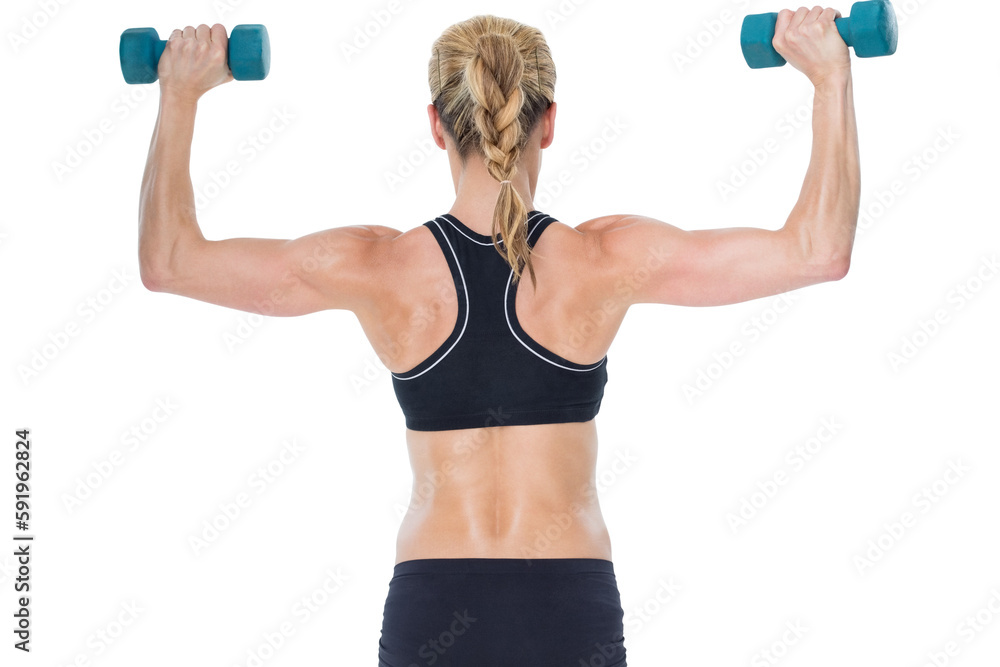 Female bodybuilder holding two dumbbells with arms up Female bodybuilder holding two dumbbells with arms up