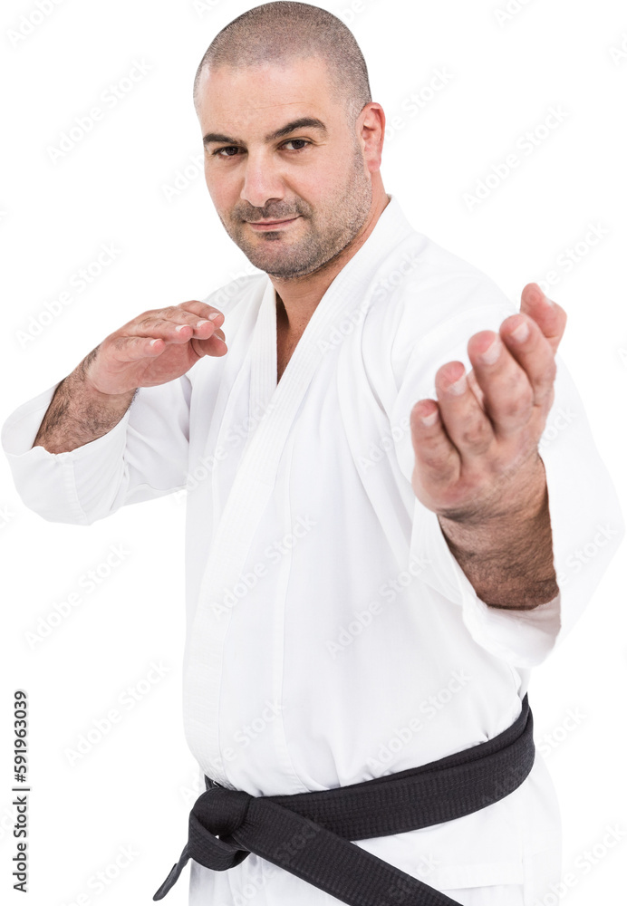 Fighter performing karate stance Fighter performing karate stance