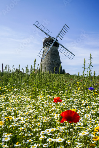 A Windmill Against A Blue Sky And Cloud With A Field Of Wildflowers In The Foreground; Whitburn, Tyne And Wear, England photo