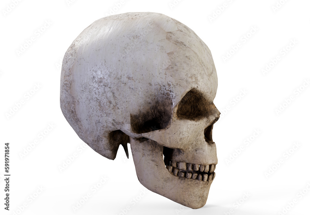 Obraz premium Pirate Skull - 3D render close up