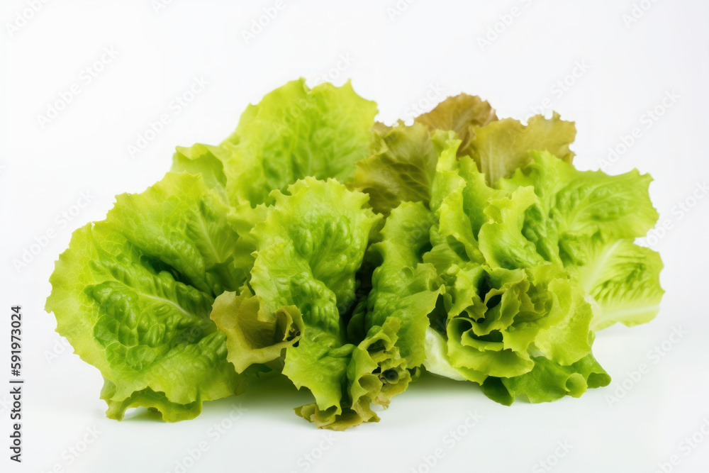Lettuce, white background isolated, burger dressing, generative ai, Fresh tasty vegetables, Fresh ingredients, cooking ingredients Lettuce, white background isolated, burger dressing, generative ai, Fresh tasty vegetables, Fresh ingredients, cooking ingredients