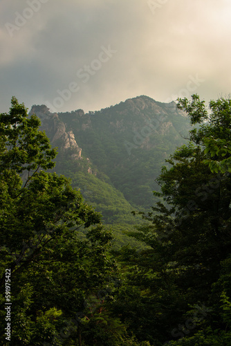 Wallpaper Mural view of the mountains Torontodigital.ca