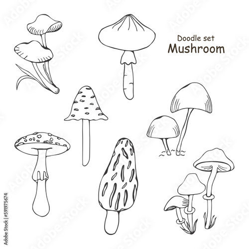 Set of poisonous mushrooms. Doodle. Vector illustration isolated on white background. Morel, fly agaric, toadstool. Different types in the style of line art.
