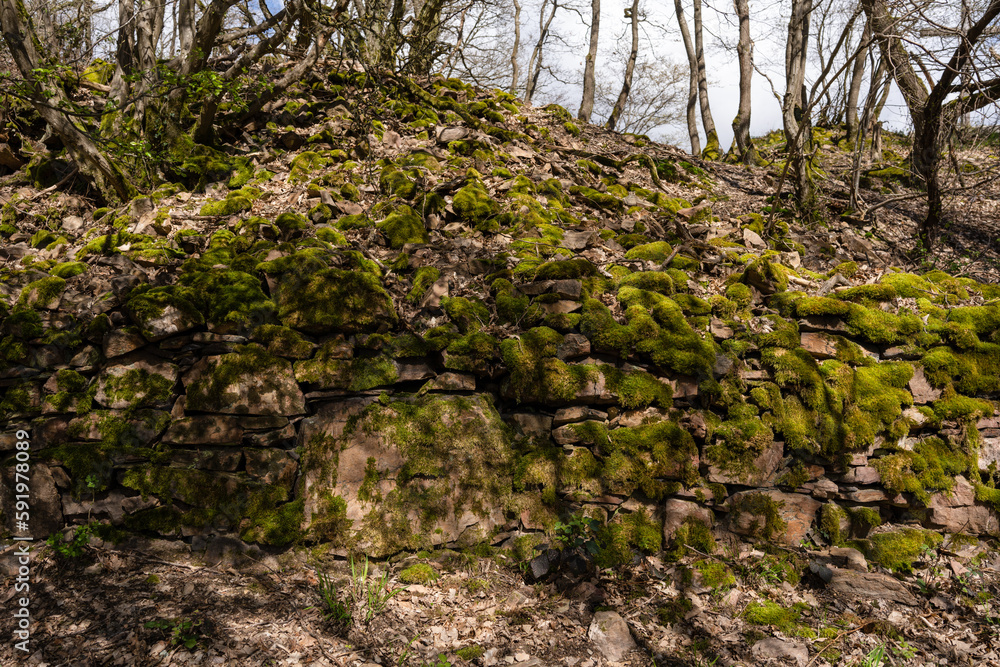 Hangmauern aus Trockenmauerwerk am Alten Kuhweg im Mittelrheintal