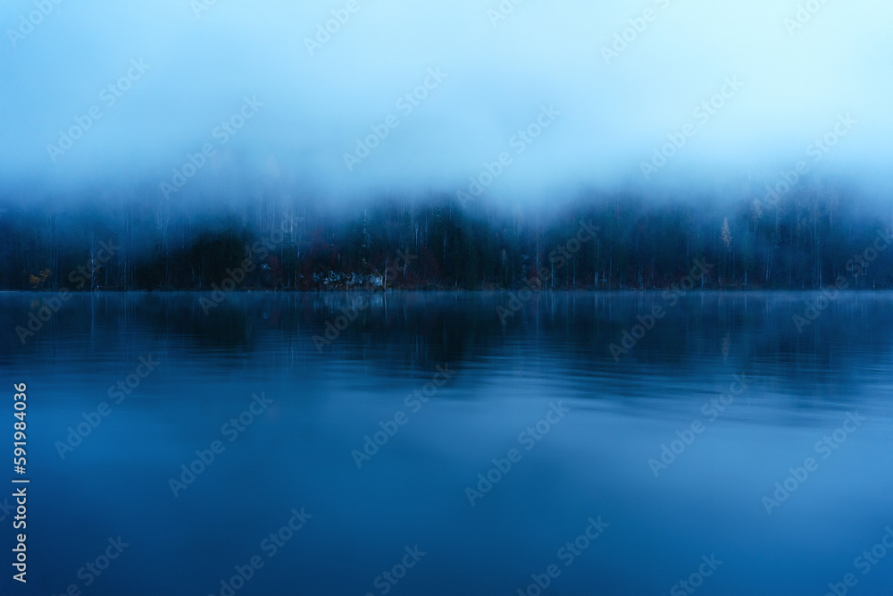 Landscape with morning fog in the forest lake