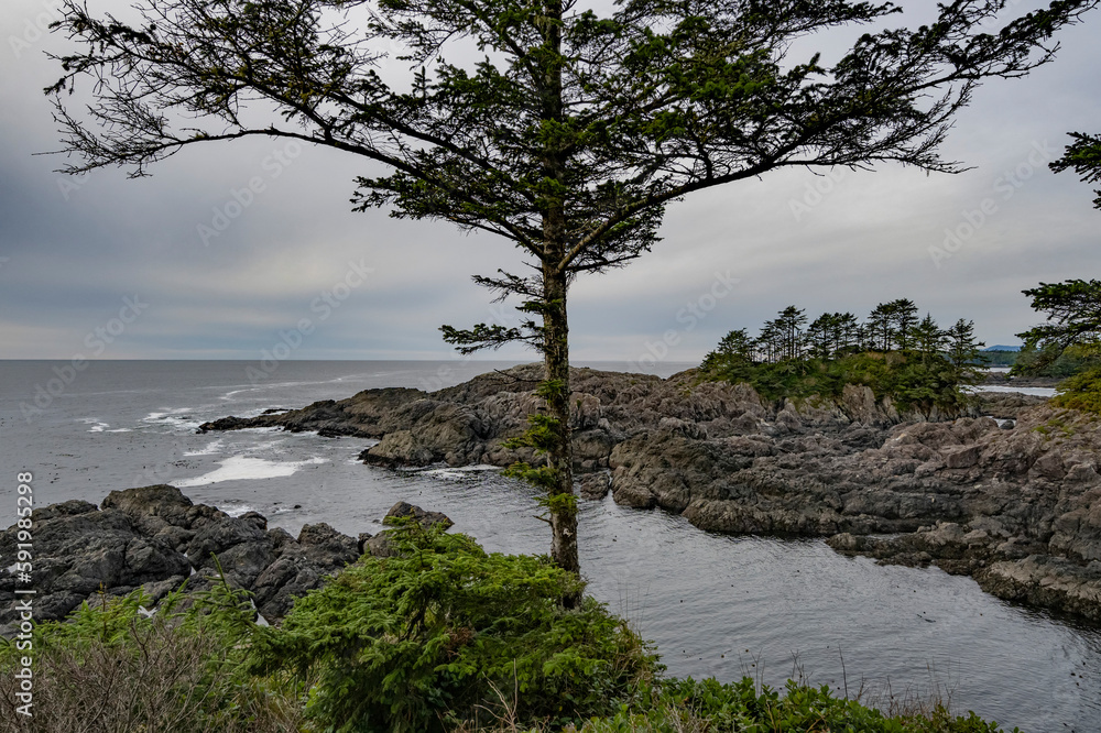Ucluelet Lighthouse Loop on Canada's Wild Pacific Trail, Vancouver Island; Ucluelet, British Columbia, Canada Ucluelet Lighthouse Loop on Canada's Wild Pacific Trail, Vancouver Island; Ucluelet, British Columbia, Canada
