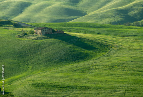 Morning in Tuscany, fog, Gladiator road, valley, hills, cypress, greenery, grass, sunrise