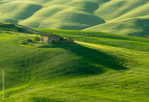 Morning in Tuscany, fog, Gladiator road, valley, hills, cypress, greenery, grass, sunrise