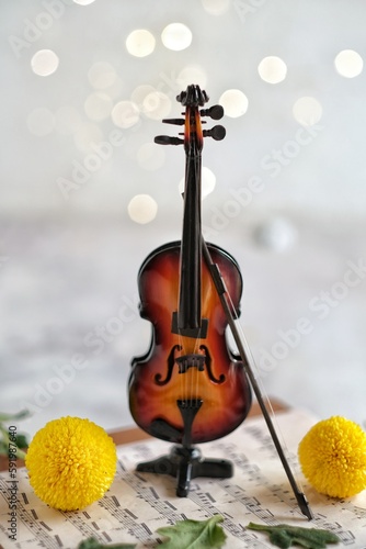 still lfe violine and chrysan flowers photo