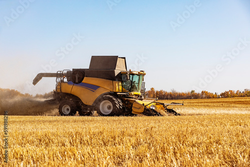 A combine harvesting a mixed grain crop of oats and barley in the fall; Alcomdale, Alberta, Canada photo