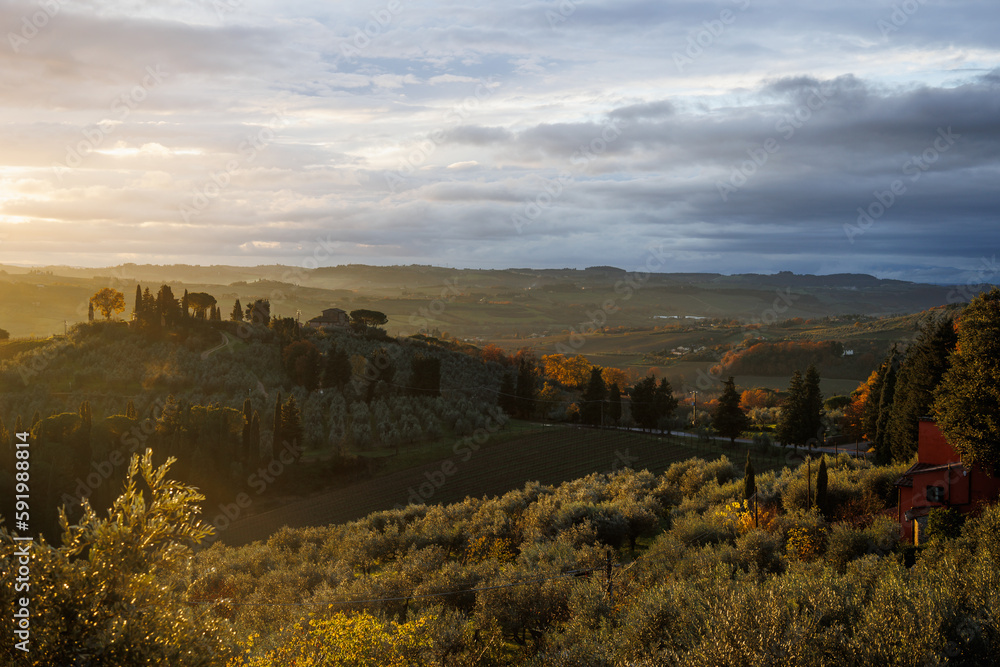 Naklejka premium Paesaggio toscano
