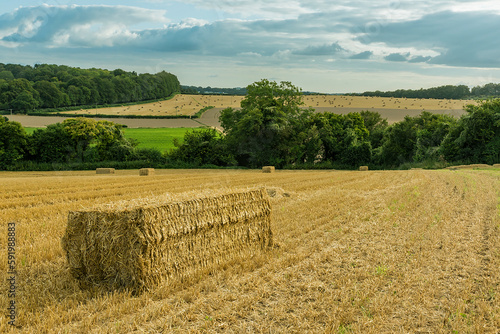 Scenic view of the countryside with rectangular straw bales dotting the harvested golden cereal grain, wheat fields around Rockbourne, near Salisbury, under a stormy, grey sky; Wiltshire, England photo