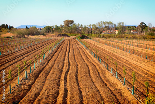 Terrain agricole