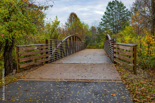 Footbridge through autumn coloured forest; Antioch, Tennessee, United States of America photo
