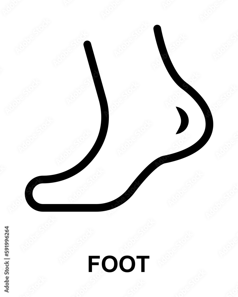 human foot simple line on white background icon illustration on transparent background