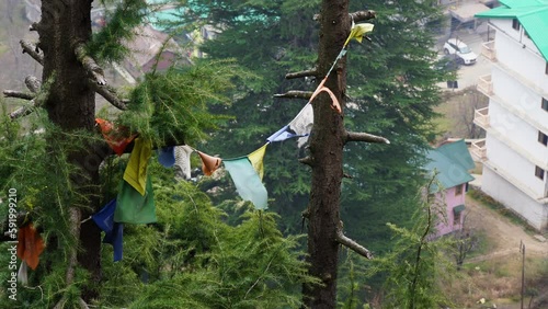 sacred religious multicolored prayer flags old and tattered torn tied between trees moving in the wind showing a bhuddist prayer incantation common in hill stations in Himachal Pradesh India photo