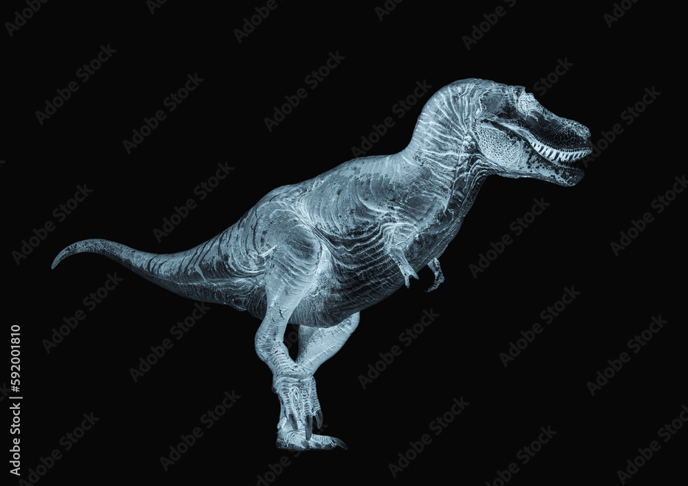 Fototapeta premium tyrannosaurus rex is walking like a king in white background