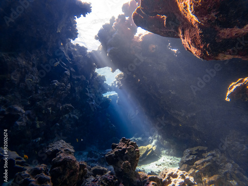 Diving in a coral canyon or cave in the red sea in egypt 