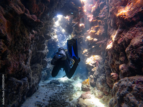 Valokuva Divers are diving in a coral canyon or cave in the red sea in egypt