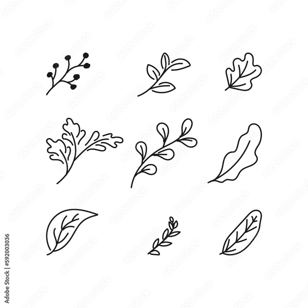 tropical plant leaf hand drawn icon