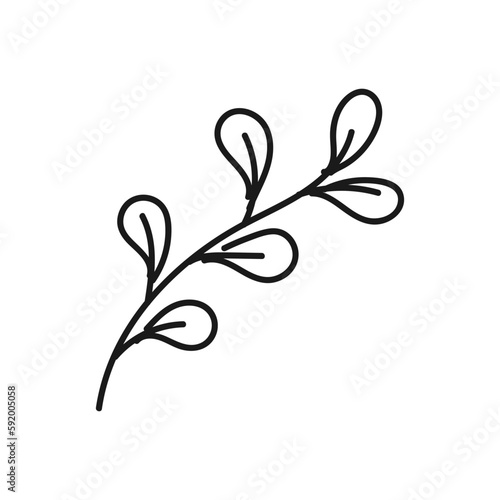 tropical plant leaf hand drawn icon