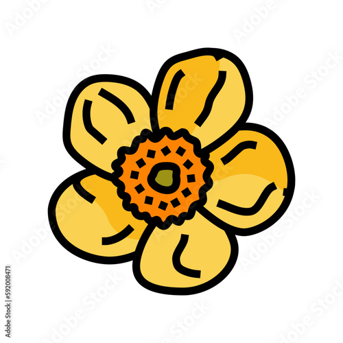 buttercup blossom spring color icon vector illustration