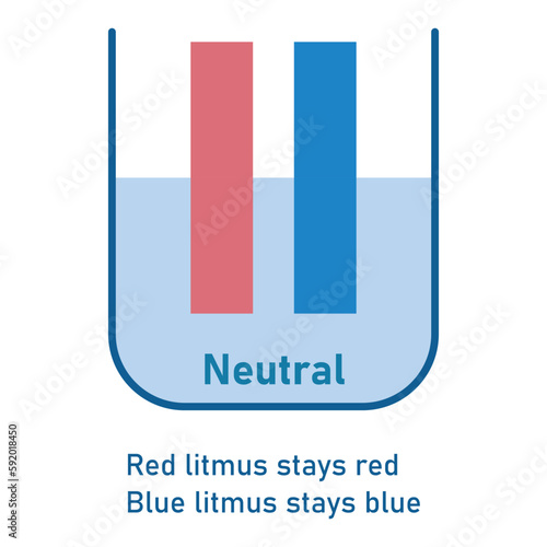 Natural indicators. Red litmus remains red and blue litmus remains blue.