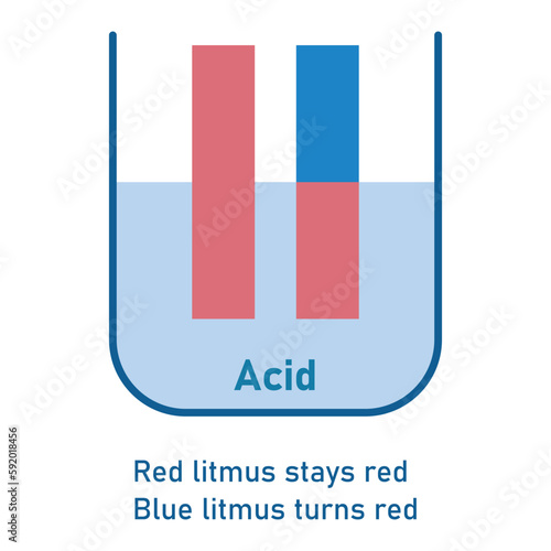 Acids cause blue litmus paper to turn red. Scientific vector illustration isolated on white background.