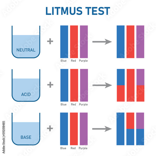 Acids cause blue litmus paper to turn red. Bases cause red litmus paper to turn  blue. Scientific vector illustration isolated on white background.