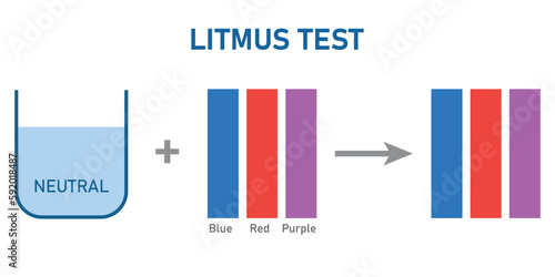 Natural indicators. Red litmus remains red and blue litmus remains blue.