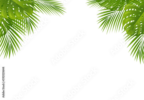 palm leaves frame